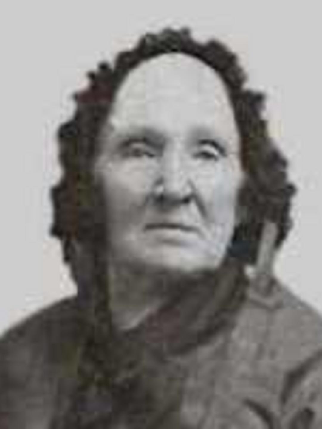Armelia Shanks (1804 - 1893) Profile